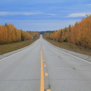 Alaska Highway no caminho de volta a Tok